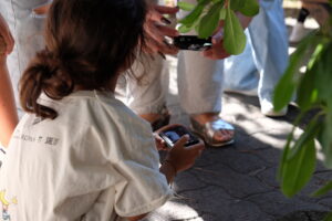 Città Foresta - Le Cosmicomiche Cities Art Projects